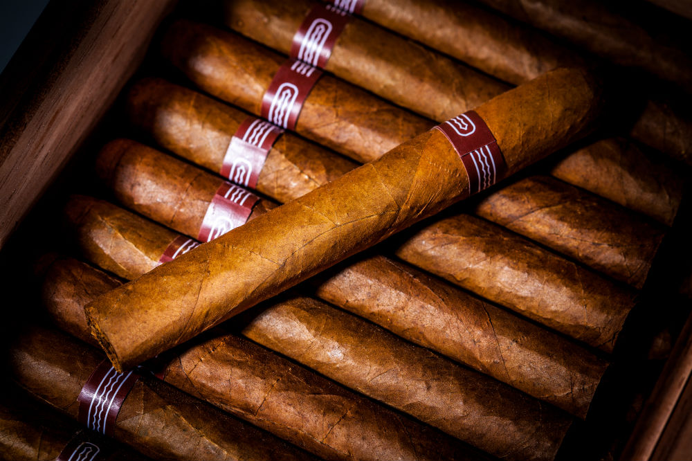 Best Cigar Humidor for Beginner